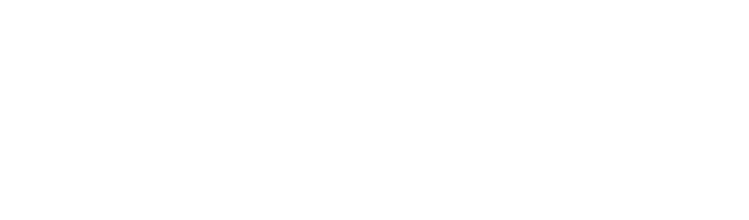 Toni Deivid - Logo